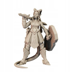 CnP Ariza The Paladin A Lvl01