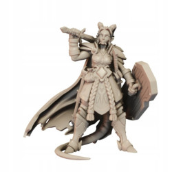 CnP Ariza The Paladin A Lvl20