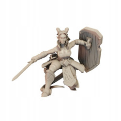 CnP Ariza The Paladin B Lvl01