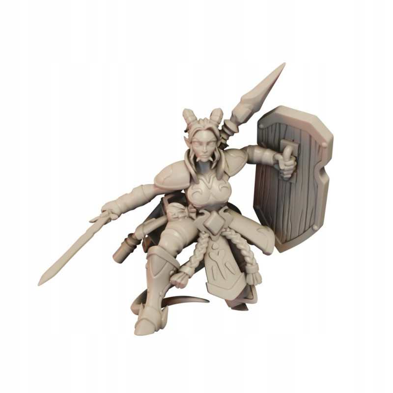 CnP Ariza The Paladin B Lvl10