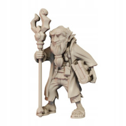 CnP Briyur The Gnome A Lvl10