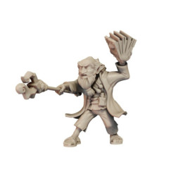 CnP Briyur The Gnome B Lvl10