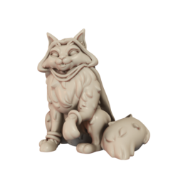 CnP Maincoo Explorer B