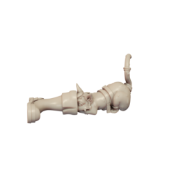 CnP Siams Tribal B 2