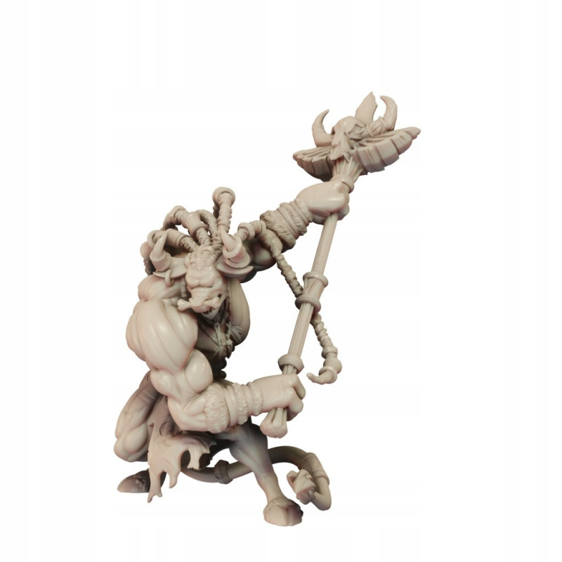 CnP Tokala Farcutter Staff