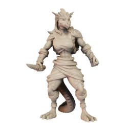 CnP Zorseth The Fighter A Lvl01