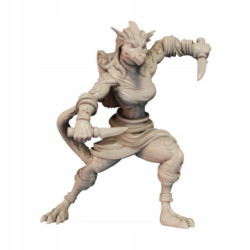 CnP Zorseth The Fighter B Lvl01