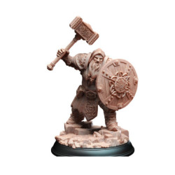 Dms Dwarven Life Cleric - Tors Of Delvdor
