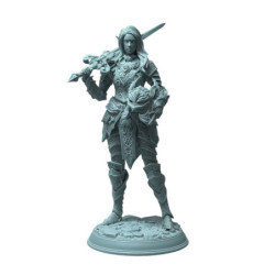 Dms Fey Elf Paladin - Celathyn