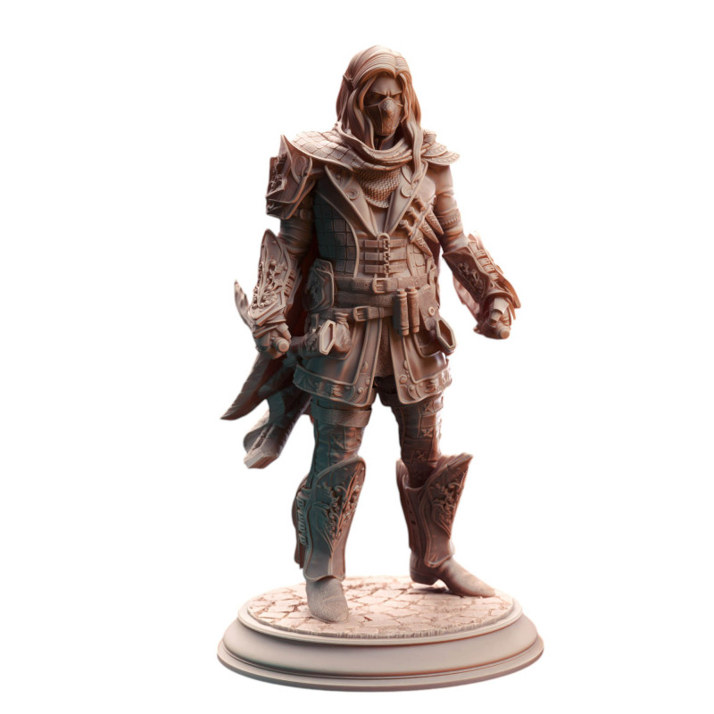 DmS Sylvios the Slip - Elven Rogue Gambler