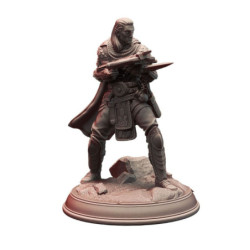 Dms Yuan Ti Rogue Assassin - Shyamiri