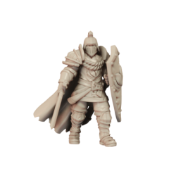 Gm Bodyguard knight A