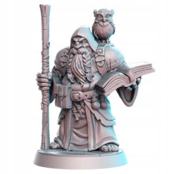 RNE Dramnir Sorcerer