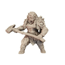 AG Berserker Skinchangers Bear Forms D