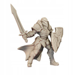 AG Female Fighter Sword Helmet Shield