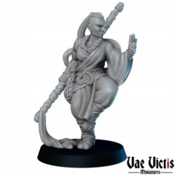 VV Fightfull Female Monk