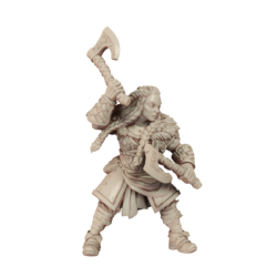 AG Northman Huskarl D2