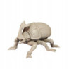 VV Scarab A