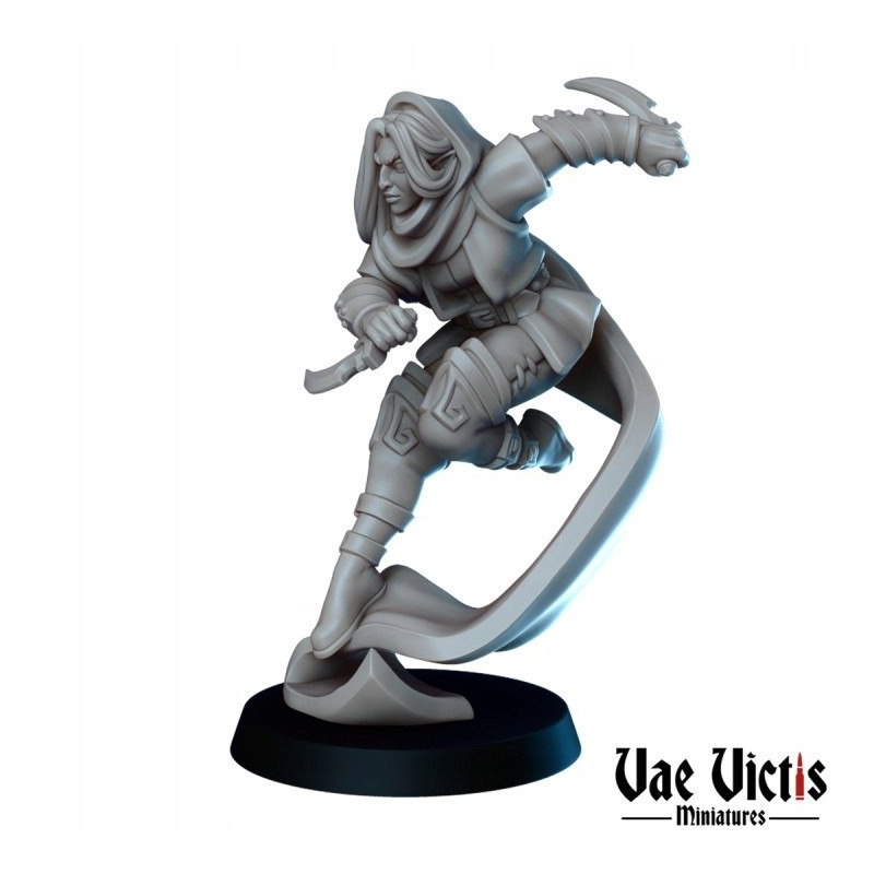 VV Thiefs Guild - Assasin Robber