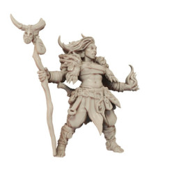 AG Northmen Berserkers D2