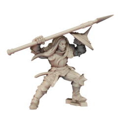 Ag Vanguard Fighter D