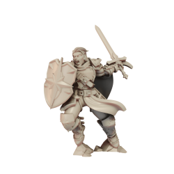 CnP Paladin Thrusting