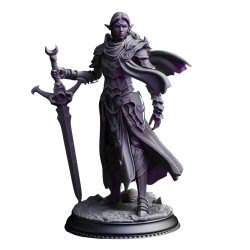 DmS lnia Vasrith - Paladin of the Moons Sanctum