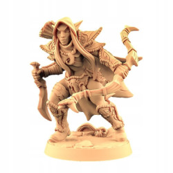 AG Elf Female Scout Assasin