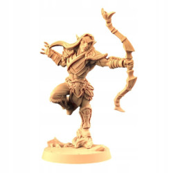 AG Elf Ranger Shooting